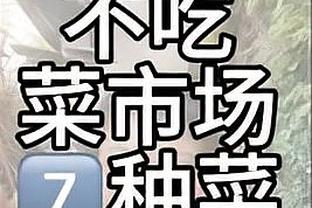 开云全站app登录官网入口下载截图2